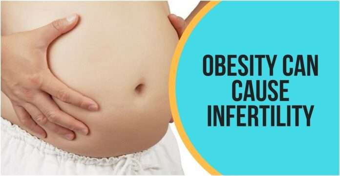 Obesity and Infertility